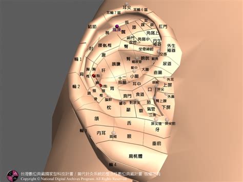 風溪|風溪耳穴:別名,診斷作用,功能作用,定位,主治,操作,功效,配伍,